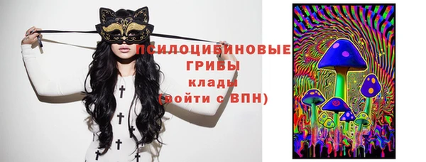 меф Белокуриха