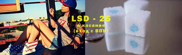 spice Богданович