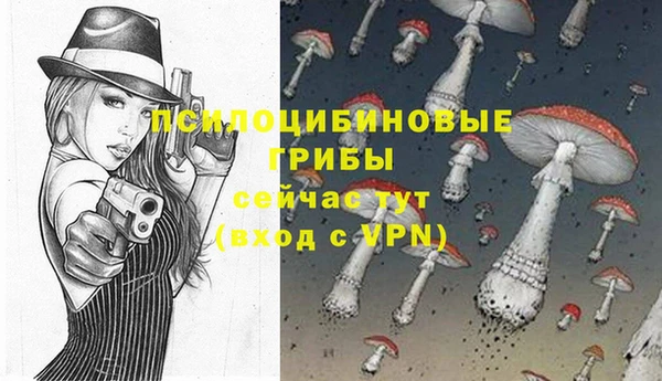 spice Богданович