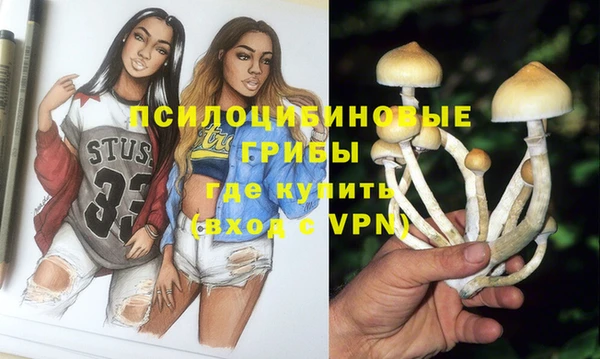 spice Богданович