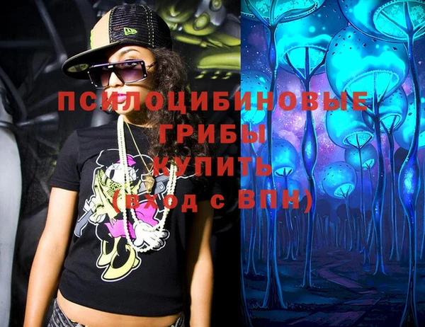 спайс Богородск
