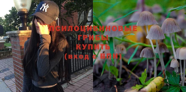 spice Богданович