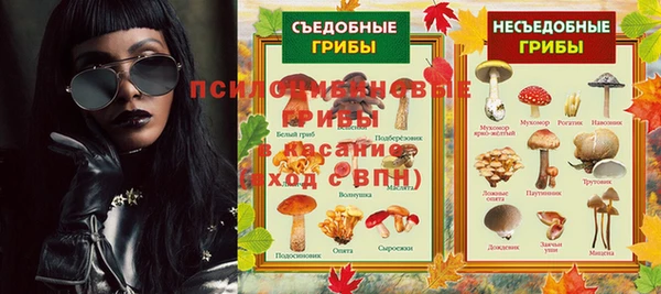 2c-b Богородицк