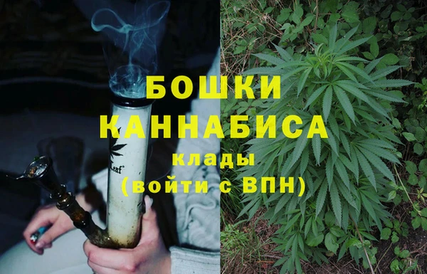 спайс Богородск